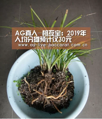 AG真人-相互宝:2019年人均分摊预计仅30元(图2) 游戏账户